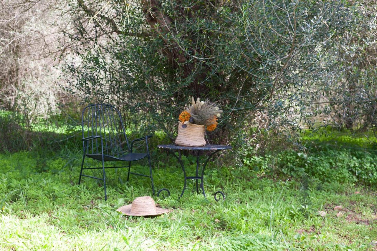 Finca Son Sureda Agroturismo Manacor  Luaran gambar